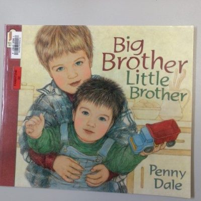 Big Brother Little Brother