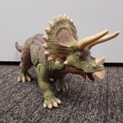 Triceratops