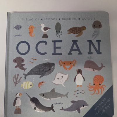 Ocean